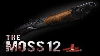 Moss 12 Shotgun