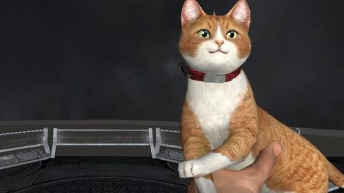 Cat Gun