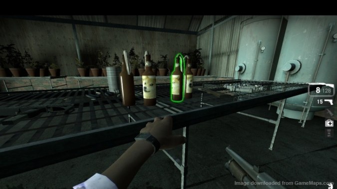 Doge Molotov