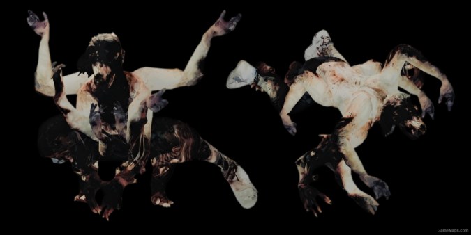 L4D1 Wolf Spider Huntress