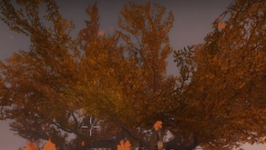 Falling Leaves