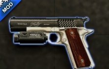 Kimber Pistol