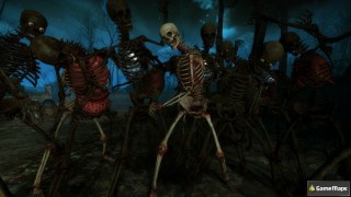 L4D1 Skeletons