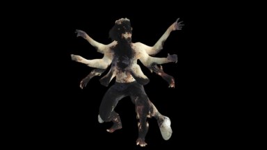 L4D1 Wolf Spider Huntress