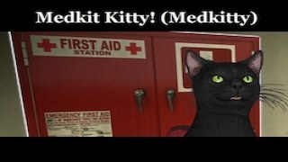 Medkit Kitty! (Medkitty)(L4D1)