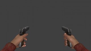 Pistol (without flashlight)