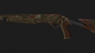 Shotgun nova