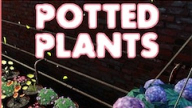 Springtime Potted Plants
