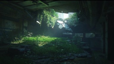 The Last Of Us Menu Background 9