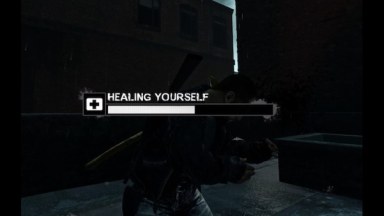 White Health Bar