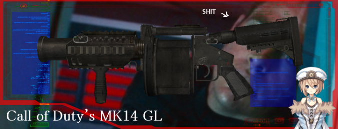 Call of Duty's MK14