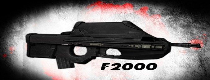 FN F2000 Assault Rifle (SG552)