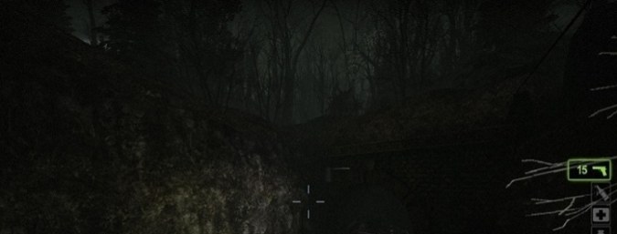 Haunted Forest