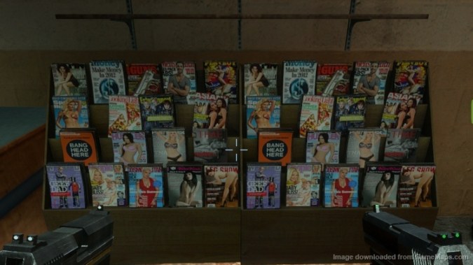 Book and Magazine Shelf Reskin HD