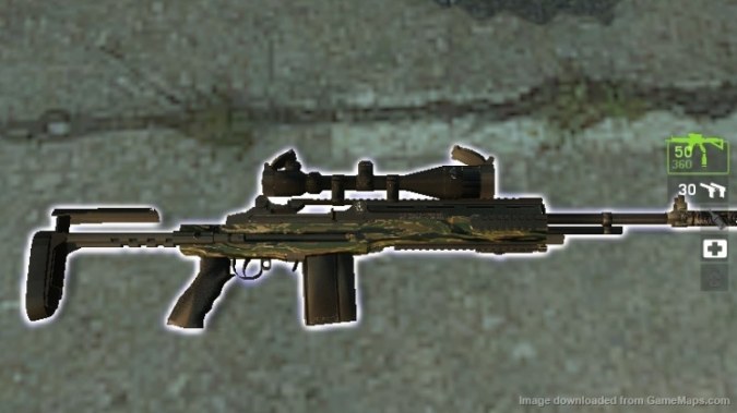 M-14 EBR Camouflage