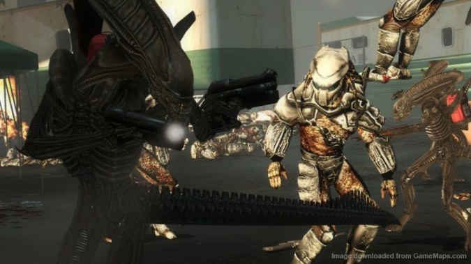 Predator common infected