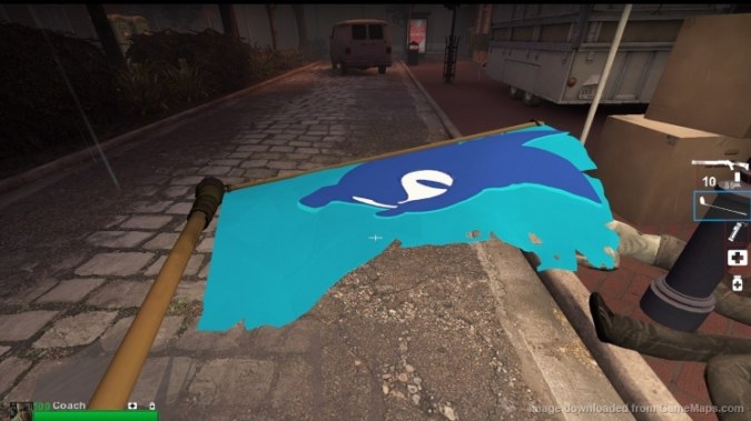 Sonic Flag