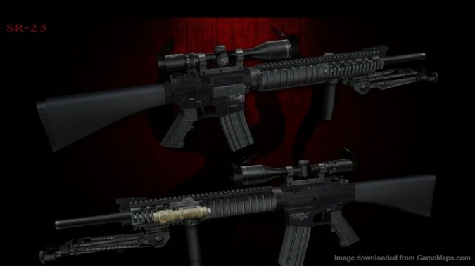 SR-25 (Military Sniper)