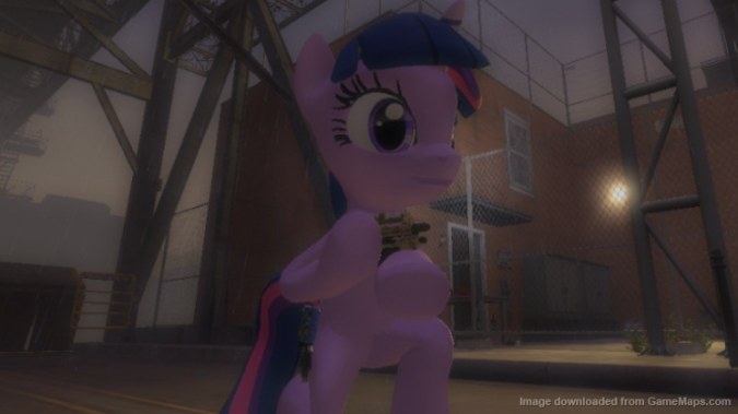 Twilight Sparkle