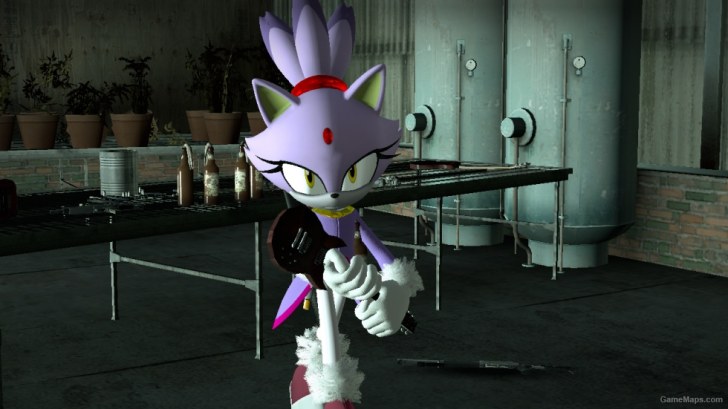 Image result for sonic maps