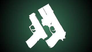 Alex_D's HUD Mass Grave - Firearms