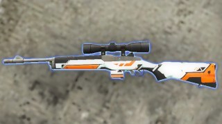 Asiimov Hunting Rifle
