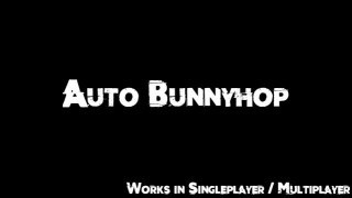 Auto Bunnyhop (Singleplayer/Multiplayer)
