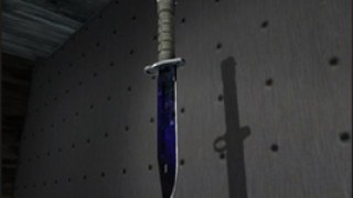 Bayonet | Doppler