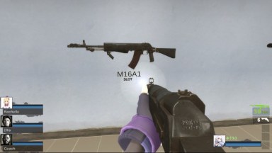BF4 AN94 (M16A2)