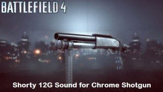 BF4 Shorty 12G Sound for Chrome Shotgun