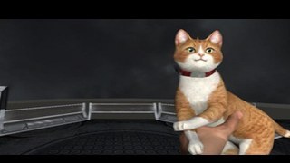 Cat Gun
