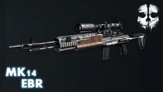 COD:G MK14 EBR