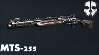 COD:G MTS-255