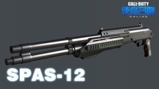 CODOL Spas-12(Chrome Shotgun)