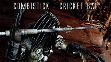 Combistick AVP 2010 - Cricket Bat