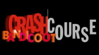 Crash Bandicoot Course 2