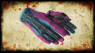 CS:GO arms and glove sporty: vice