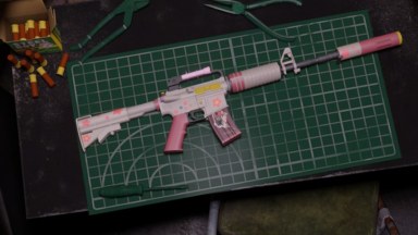 CSGO M4A1-S Erika (CSOL texture)