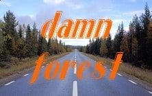 Damn Forest