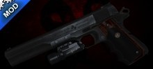 Doktor's Custom M1911A1 (Magnum)