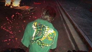 Dragons Prophet whispering wind jacket for smoker