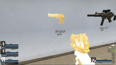 Dual EEdg Desert Eagles (Dual pistols)