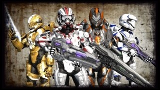 Fireteam Guardians (H4) BOTH