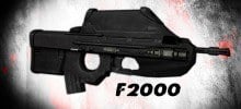 FN F2000 Assault Rifle (M16)