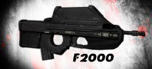 FN F2000 Assault Rifle (SG552)