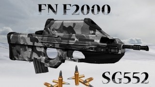 FN F2000 Winter Camo (SG552)