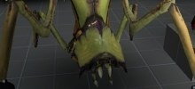 Antlion
