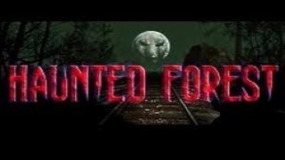 Haunted Forest v4