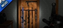 HD gun cabinett