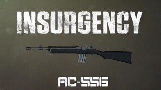 Insurgency AC556